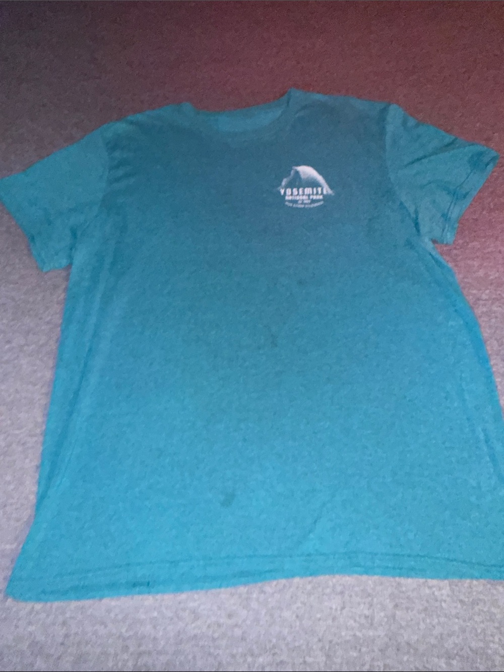 Graphic Crew Neck T‑Shirt - Teal